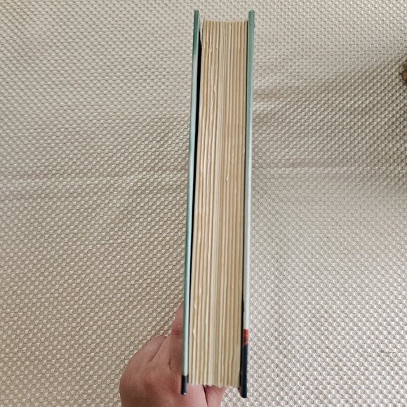 4/$40 2014 - Punishment - Linden Macintyre - Hardcover - Picture 4 of 5